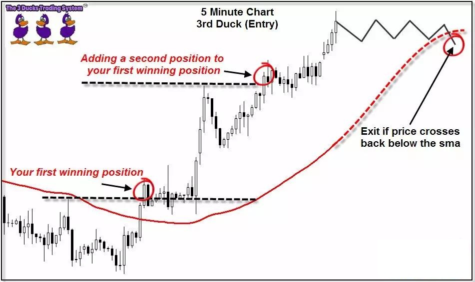 介绍一个国外深受外汇交易者青睐的“三只小鸭”交易系统(图7) 介绍一个国外深受外汇交易者青睐的“三只小鸭”交易系统(图7)