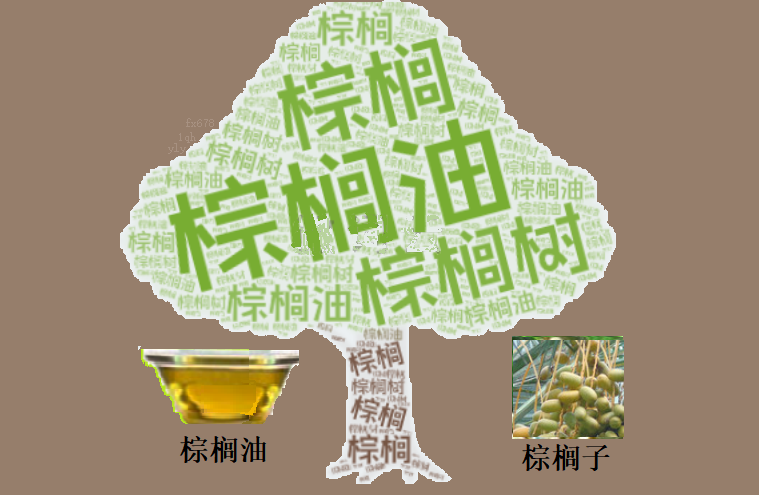 印尼减产预警支撑 马棕油高位震荡格局延续